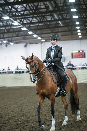 Spring Fling - Saturday - April 20, 2019  -  00878