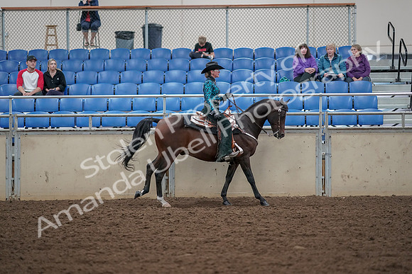 2019 Morgan Horse Show - Aug 30, 2019 - 26189