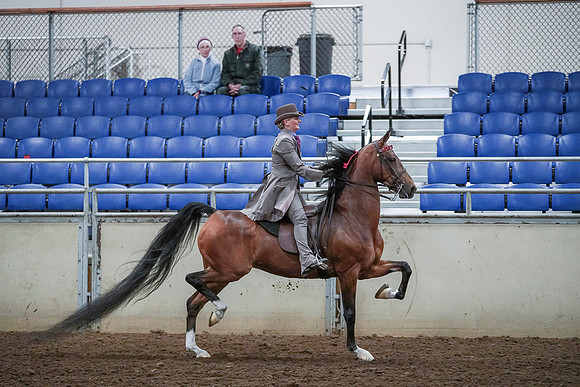 Spring Fling - Saturday - April 20, 2019  -  00572