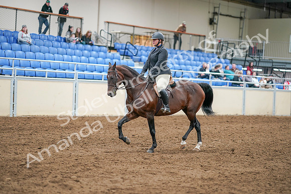 2020 - AB Morgan Horse - Sat, Sept 05 - 14291