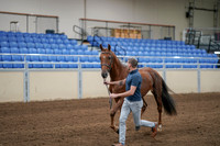 2020 - AB Morgan Horse - Sat, Sept 05 - 00179