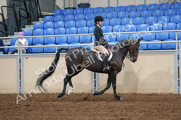 2020 - AB Morgan Horse - Fri, Sept 04 - 02114