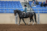 2020 - AB Morgan Horse - Fri, Sept 04 - 07736