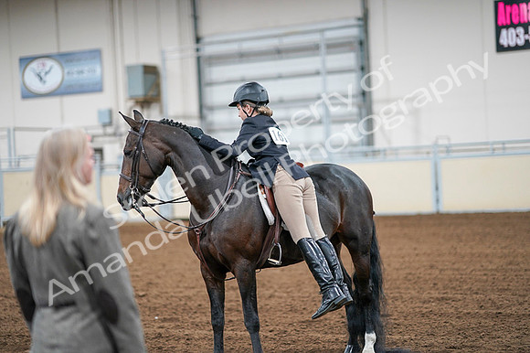 2020 - AB Morgan Horse - Fri, Sept 04 - 02081
