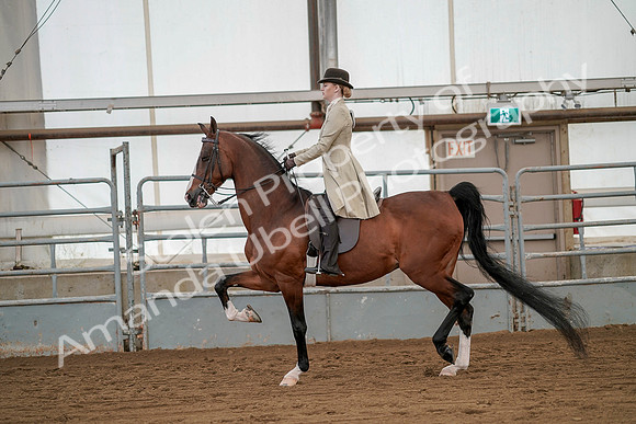 July 20, 2019 - 02082