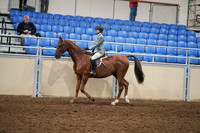 2020 - AB Morgan Horse - Fri, Sept 04 - 02960