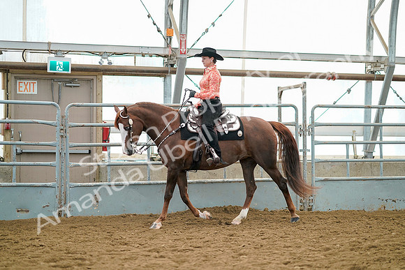 July 19, 2019 - 12204