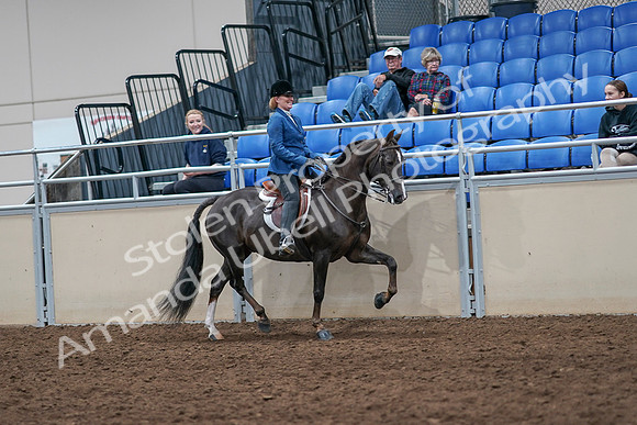 2020 - AB Morgan Horse - Sat, Sept 05 - 05199