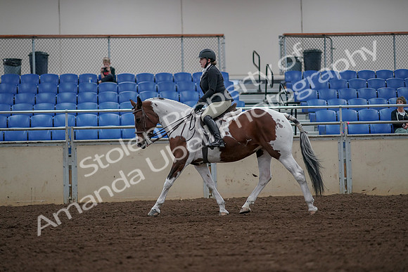 2019 Morgan Horse Show - Aug 30, 2019 - 14932