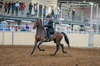2020 - AB Morgan Horse - Sat, Sept 05 - 07895