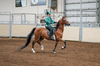 2020 - AB Morgan Horse - Fri, Sept 04 - 08684