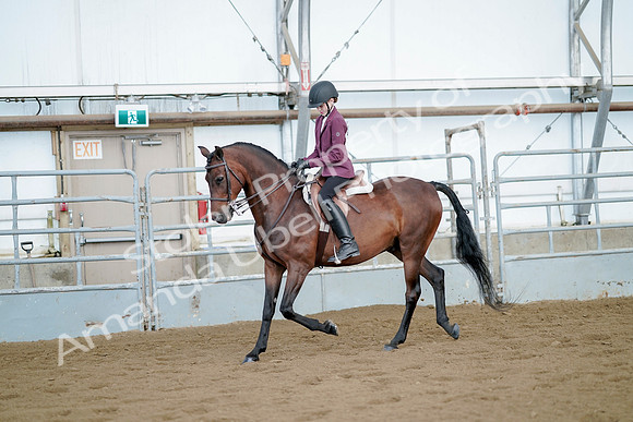 July 21, 2019 - 03245