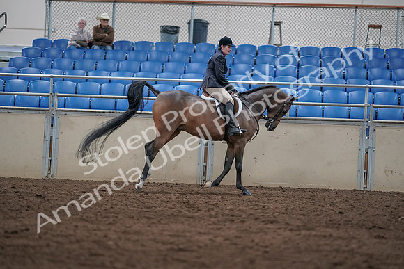 2019 Morgan Horse Show - Sept 01, 2019 - 08805