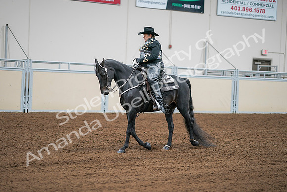 2020 - AB Morgan Horse - Sat, Sept 05 - 08956