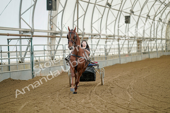 July 20, 2019 - 04927