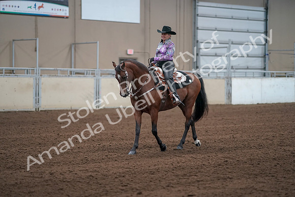 2019 Morgan Horse Show - Sept 01, 2019 - 07210