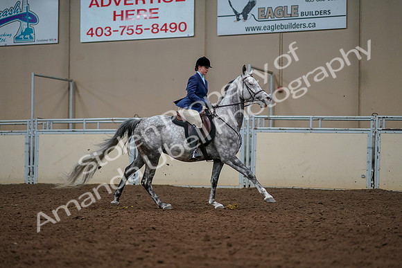 2019 Morgan Horse Show - Aug 30, 2019 - 22523