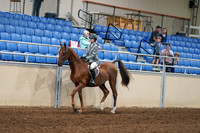 2020 - AB Morgan Horse - Fri, Sept 04 - 02947
