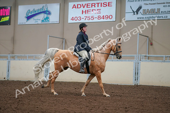 2019 Morgan Horse Show - Aug 30, 2019 - 16422