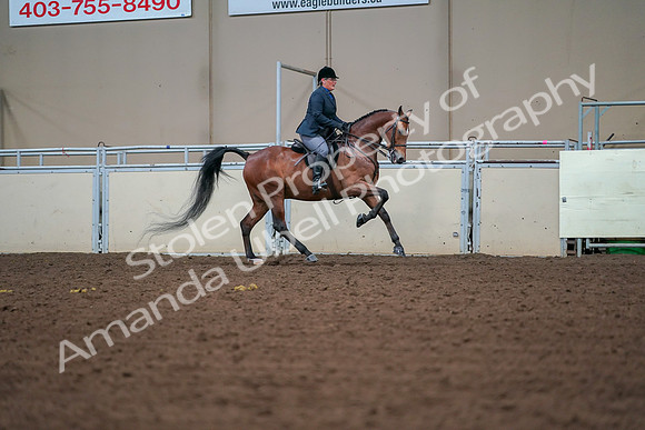 2019 Morgan Horse Show - Aug 30, 2019 - 20978
