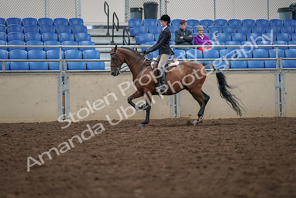 2019 Morgan Horse Show - Aug 30, 2019 - 20358