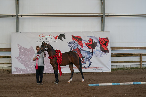 2022 - CNAC - Sept 27 - 01278