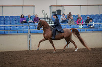 2019 Morgan Horse Show - Aug 30, 2019 - 26774