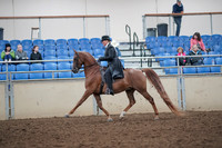 2019 Morgan Horse Show - Aug 31, 2019 - 12189