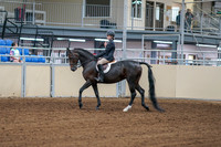 2020 - AB Morgan Horse - Fri, Sept 04 - 01986
