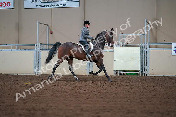 2019 Morgan Horse Show - Aug 30, 2019 - 20937