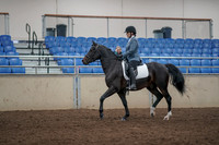 2019 Morgan Horse Show - Aug 31, 2019 - 07159