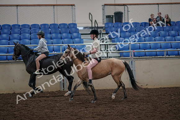 2019 Morgan Horse Show - Aug 30, 2019 - 31228