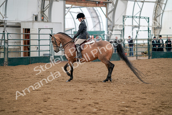 July 20, 2019 - 01239