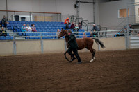2019 Morgan Horse Show - Aug 30, 2019 - 25536