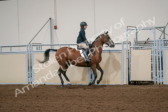 2020 - AB Morgan Horse - Fri, Sept 04 - 02096
