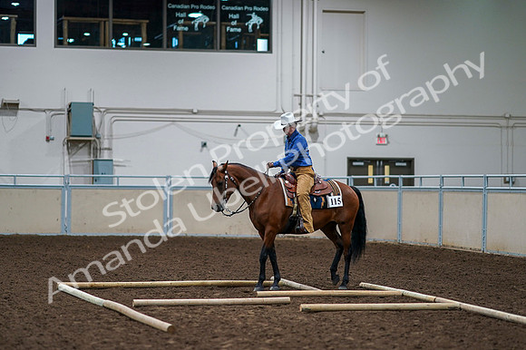 2020 - AB Morgan Horse - Fri, Sept 04 - 00265