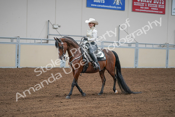 2020 - AB Morgan Horse - Sat, Sept 05 - 09032
