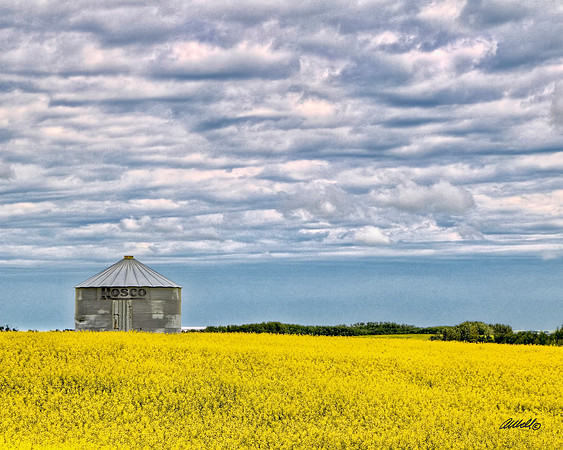 Canada - 015