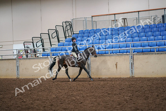 2019 Morgan Horse Show - Aug 30, 2019 - 12409