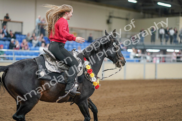 2020 - AB Morgan Horse - Sat, Sept 05 - 10580