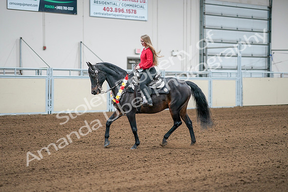 2020 - AB Morgan Horse - Sat, Sept 05 - 10396