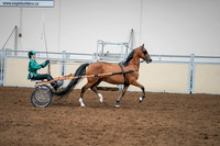 2020 - AB Morgan Horse - Sat, Sept 05 - 12457