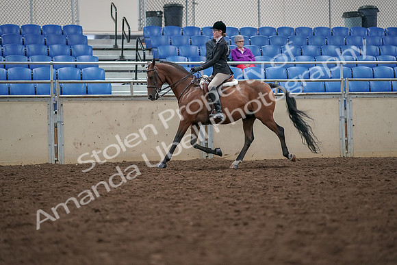 2019 Morgan Horse Show - Aug 30, 2019 - 20356