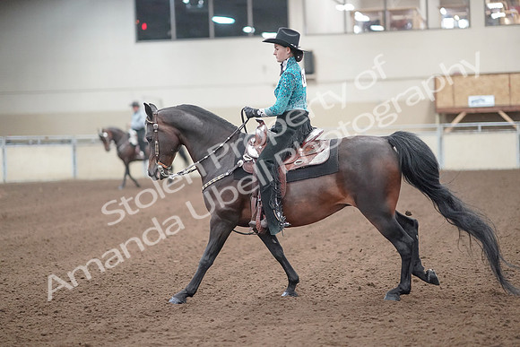 2019 Morgan Horse Show - Sept 01, 2019 - 06980