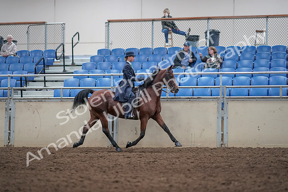 2019 Morgan Horse Show - Aug 31, 2019 - 08878