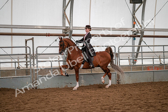 July 19, 2019 - 10327