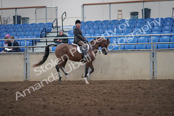 2019 Morgan Horse Show - Aug 31, 2019 - 16098