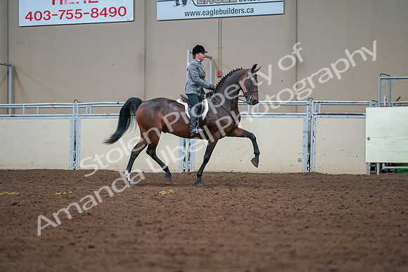 2019 Morgan Horse Show - Aug 30, 2019 - 20929
