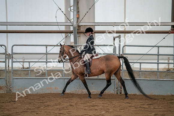 July 19, 2019 - 2564