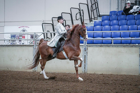 Spring Fling - Saturday - April 20, 2019  -  00578